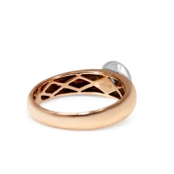 9ct Rose and White Gold Bezel Diamond Solitaire Ring
