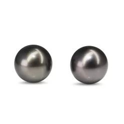14ct White Gold 13 mm Tahitian Pearl Stud Earrings