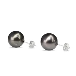 14ct White Gold 13 mm Tahitian Pearl Stud Earrings