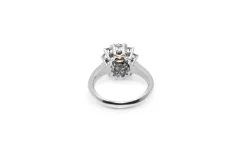 18ct White Gold Champagne Diamond Double Halo Ring