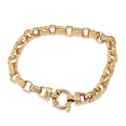 9ct Yellow Gold Oval Belcher Link Bracelet with Bolt Ring Clasp