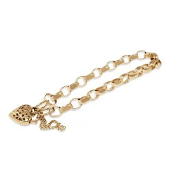 9ct Yellow Gold Oval Belcher Link Bracelet with Filigree Padlock Clasp