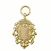 9ct Yellow Gold Shield Pendant / Charm