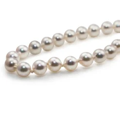 6.5 - 7mm Akoya Cultured Pearl Strand Necklace on 9ct Yellow Gold Clasp
